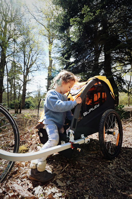 What is a Kids Bike Trailer and why should you use one?