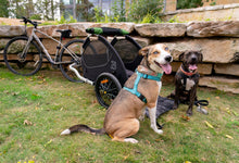 Load image into Gallery viewer, Burley Tail Wagon® - Kids Bike Trailers
